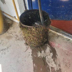 Comunicado importante de Servicios Públicos