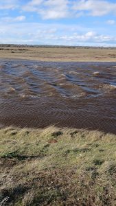 Comunicado importante de Servicios Públicos