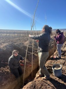 Estudiantes agropecuarios realizan sus prácticas forestales junto a FOMICRUZ