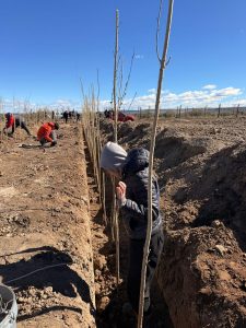 Estudiantes agropecuarios realizan sus prácticas forestales junto a FOMICRUZ