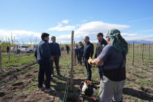El CAP potencia el Plan Vitivinícola en Lago Posadas