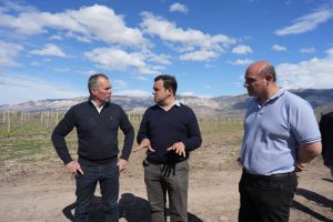 El CAP potencia el Plan Vitivinícola en Lago Posadas