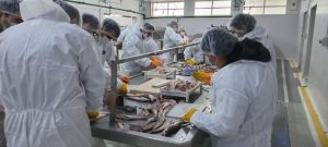 Después de 10 años vuelve a operar un barco merlucero en Puerto San Julián