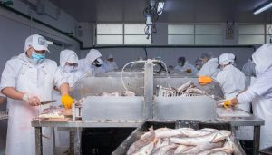 Se  impulsan nuevas oportunidades laborales: Finalizó el curso de "Operario Filetero" en Puerto San Julián