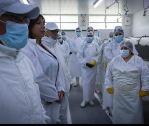 Se  impulsan nuevas oportunidades laborales: Finalizó el curso de "Operario Filetero" en Puerto San Julián