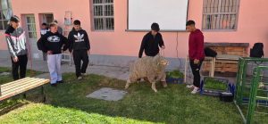Se realizó la Primera Edición de la Expo Educativa en Gobernador Gregores