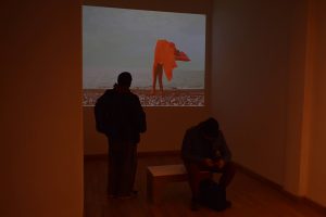 Realizadores de la Patagonia Austral reconfiguran la colección del MAEM en clave audiovisual