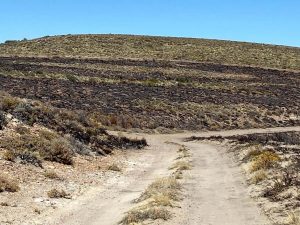 Santa Cruz evalúa impactos ambientales tras incendio en yacimiento Cañadón Escondido