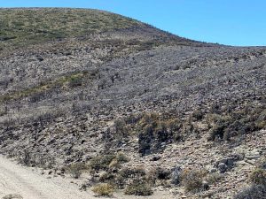 Santa Cruz evalúa impactos ambientales tras incendio en yacimiento Cañadón Escondido