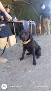 Primer Paseo de Seguridad en Las Heras