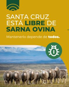 Sarna ovina: El Consejo Agrario refuerza la prevención en la etapa post-parto