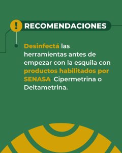 Sarna ovina: El Consejo Agrario refuerza la prevención en la etapa post-parto