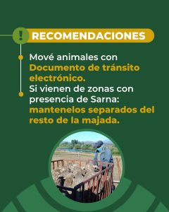 Sarna ovina: El Consejo Agrario refuerza la prevención en la etapa post-parto