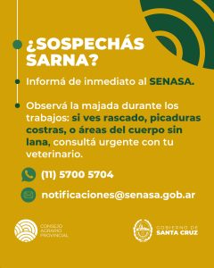 Sarna ovina: El Consejo Agrario refuerza la prevención en la etapa post-parto