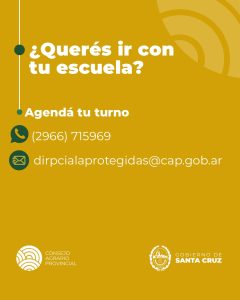 Llega a 28 de Noviembre la muestra del Cóndor Andino