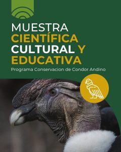 Llega a 28 de Noviembre la muestra del Cóndor Andino