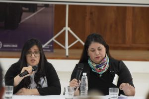 Se desarrolla el Encuentro “Santa Cruz Inclusiva”, para la construcción del Consejo Asesor de Discapacidad