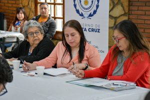 Santa Cruz avanza hacia un Consejo Provincial de Discapacidad fortalecido y participativo