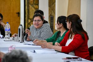 Santa Cruz avanza hacia un Consejo Provincial de Discapacidad fortalecido y participativo