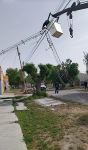 Servicios Públicos realizó intervenciones durante el temporal de viento