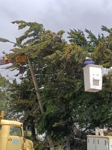 Servicios Públicos realizó intervenciones durante el temporal de viento