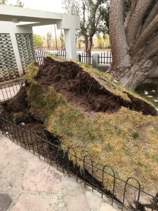 Servicios Públicos realizó intervenciones durante el temporal de viento