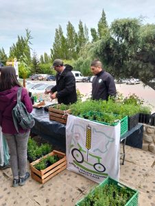 Entrega de plantines en el marco del Aniversario del Consejo Agrario Provincial