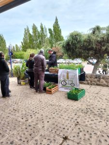Entrega de plantines en el marco del Aniversario del Consejo Agrario Provincial