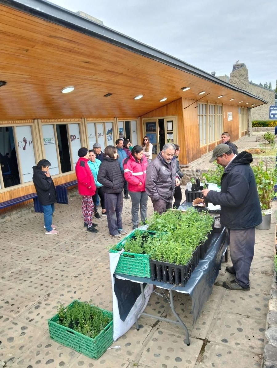Entrega de plantines en el marco del Aniversario del Consejo Agrario Provincial