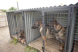 El gobernador Claudio Vidal entregó equipamiento informático a fuerzas de seguridad en El Calafate