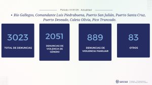 Seguridad presentó los datos estadísticos recabados del Sistema Integral de Denuncias