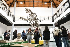 “El Camino del Fósil”: Santa Cruz celebró el Día Nacional de la Paleontología