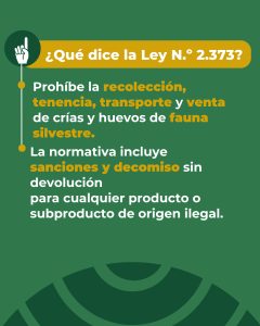 El Consejo Agrario recuerda que está prohibida la recolección de huevos de fauna silvestre
