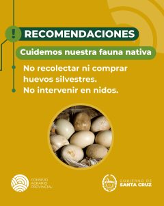 El Consejo Agrario recuerda que está prohibida la recolección de huevos de fauna silvestre