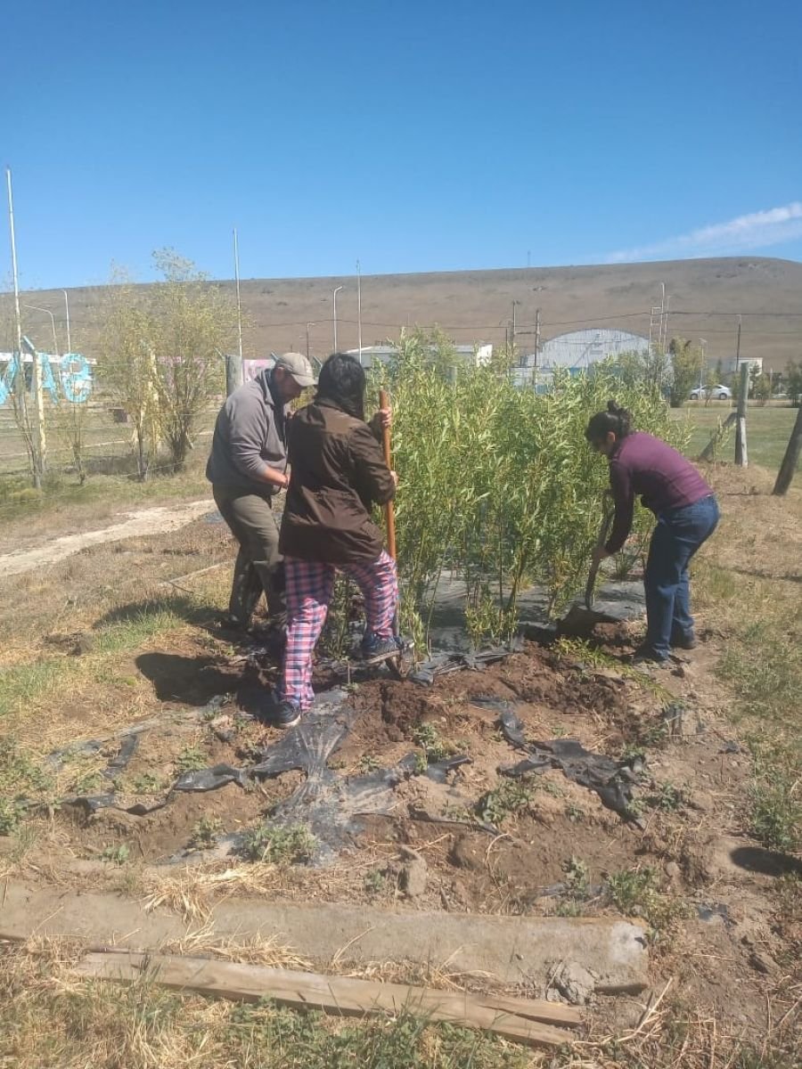 Se entregaron árboles producidos por la Delegación del CAP en Puerto Santa Cruz
