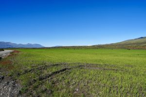 El gobernador Vidal presentó el primer proyecto agroproductivo público-privado de Santa Cruz