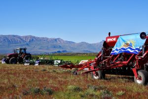 Se busca producir y procesar el grano en Santa Cruz para impulsar la cadena productiva