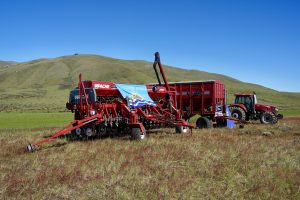 Se busca producir y procesar el grano en Santa Cruz para impulsar la cadena productiva