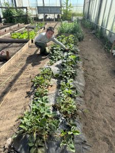 Una muestra que celebra aprendizajes y sueños en Glencross
