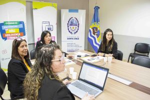 Se realizó la última Sesión Ordinaria del año del Consejo Provincial de Niñez