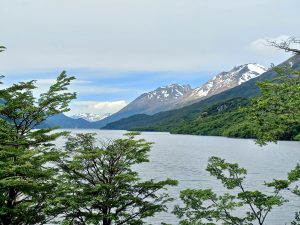 La Provincia refuerza su estrategia de Prevención de Incendios para proteger el bosque nativo