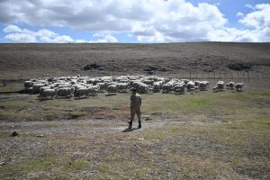 Provincia puso en valor el Destacamento Policial Diego Ritchie para fortalecer la seguridad fronteriza