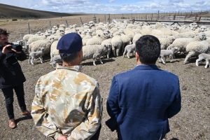 La Policía Provincial refuerza su presencia y operatividad en la frontera sur