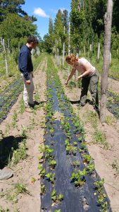 Turismo fortalece el trabajo territorial en Perito Moreno y Los Antiguos