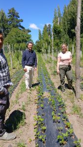 Turismo fortalece el trabajo territorial en Perito Moreno y Los Antiguos