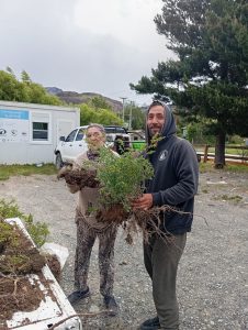 El CAP acompaña trabajos de recuperación de especies nativas en la ruta hacia el Lago del Desierto