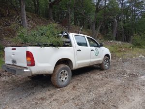 El CAP acompaña trabajos de recuperación de especies nativas en la ruta hacia el Lago del Desierto