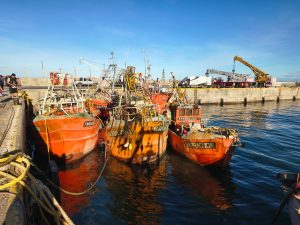 UnEPoSC acompañó el salvamento de los buques hundidos en Caleta Paula