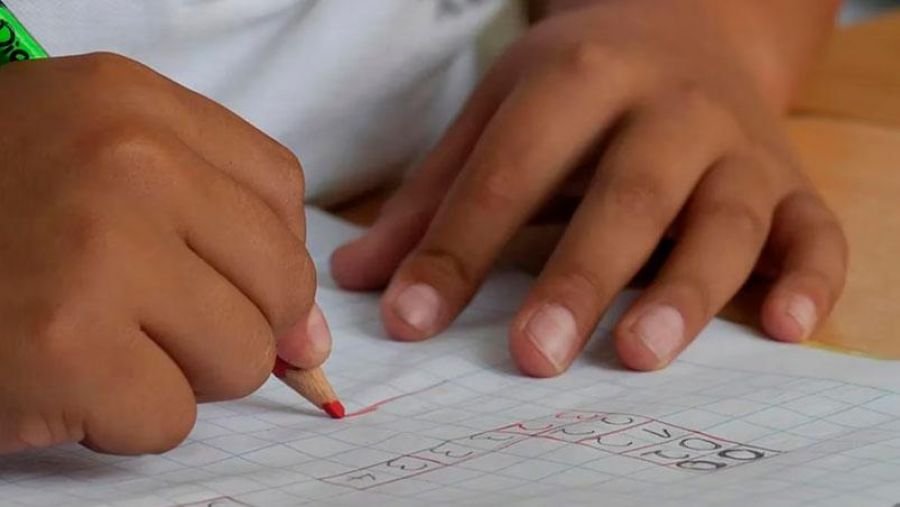 Certificados de escolaridad: qué debo saber y cuándo debo presentarlos ante la Caja de Previsión Social