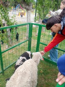 El Agro celebró el Día de la Educación Técnica con una Expo que llenó de vida a Gobernador Gregores